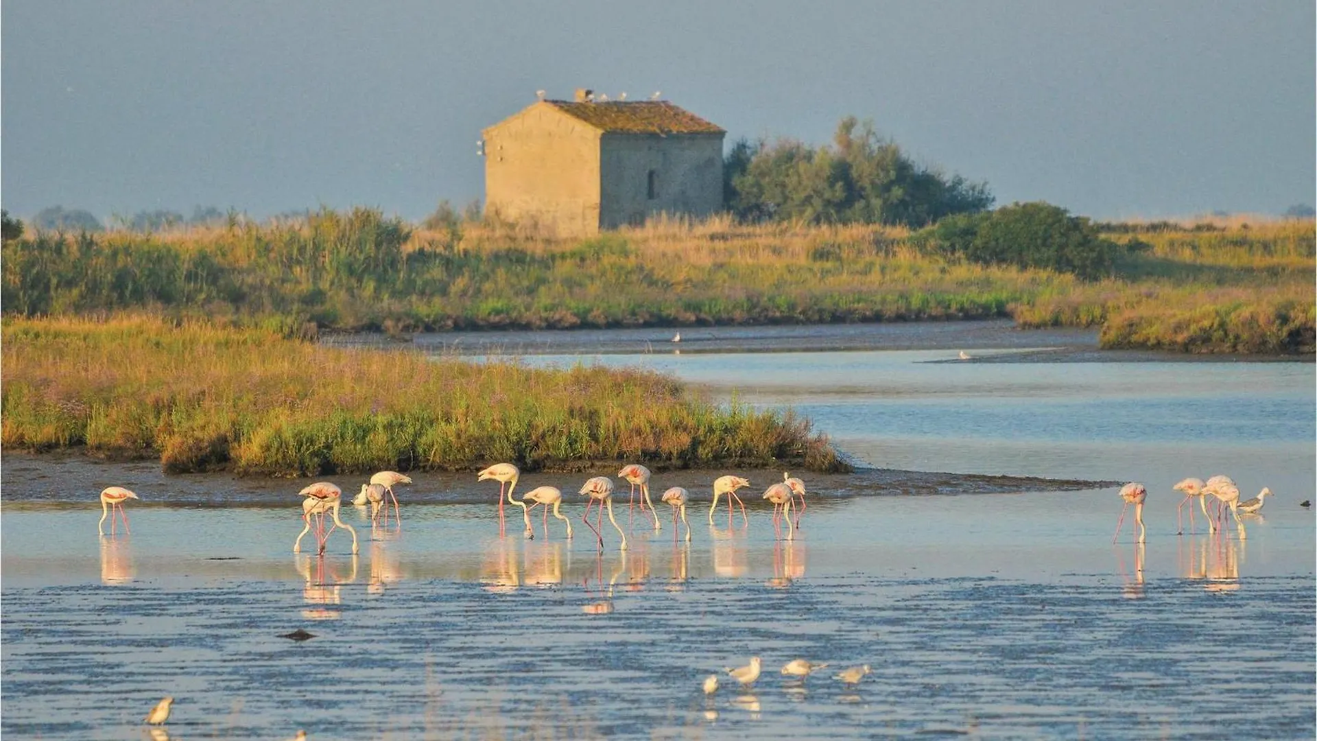 Appartamento Ginestrino 11A Lido delle Nazioni Italia